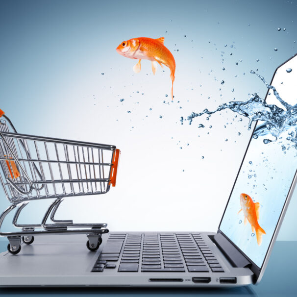 L’eCommerce continua a crescere e le strategie di vendita online cambiano